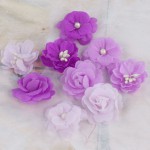 ��ǰ�̹���